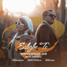 آهنگ جدید محسن حسینی ادیب به نام عشق تو‌